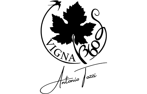 Antonio Tozzi - Vigna 360° Winery